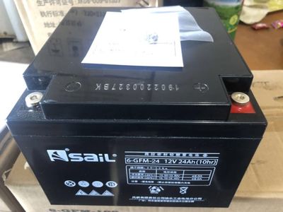 风帆6-GFM-24 12V24Ah